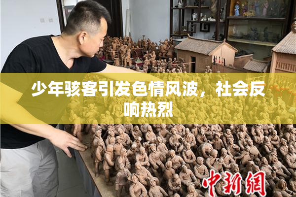 少年骇客引发色情风波，社会反响热烈