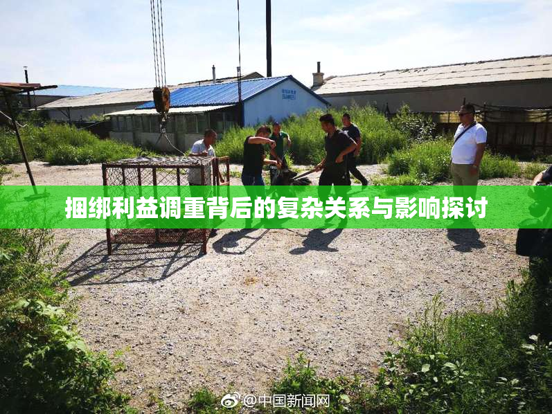 捆绑利益调重背后的复杂关系与影响探讨