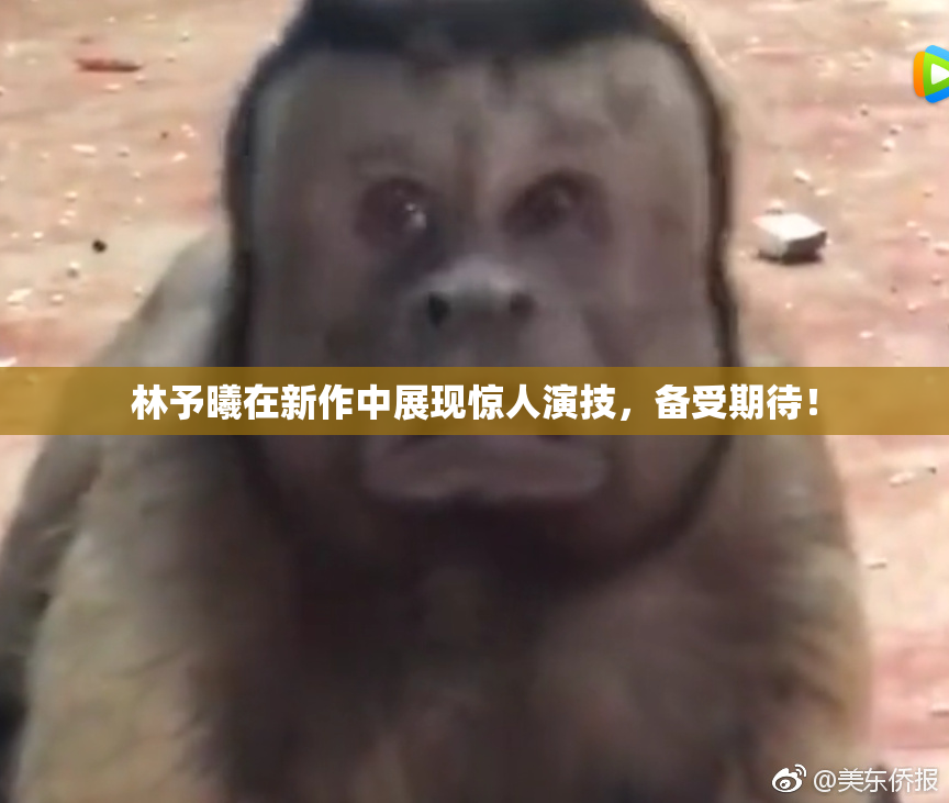 林予曦在新作中展现惊人演技，备受期待！