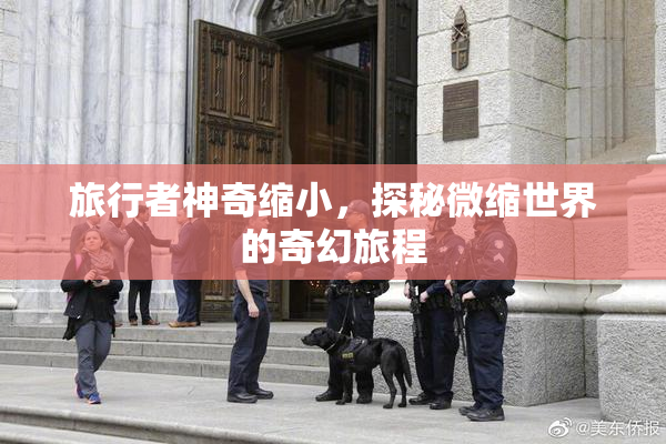 旅行者神奇缩小，探秘微缩世界的奇幻旅程