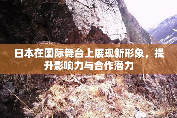 日本在国际舞台上展现新形象，提升影响力与合作潜力