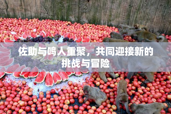 佐助与鸣人重聚，共同迎接新的挑战与冒险