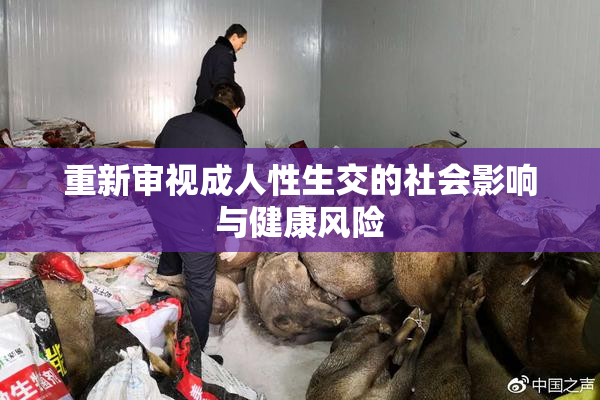重新审视成人性生交的社会影响与健康风险
