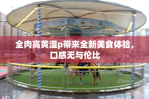 全肉高黄湿p带来全新美食体验，口感无与伦比