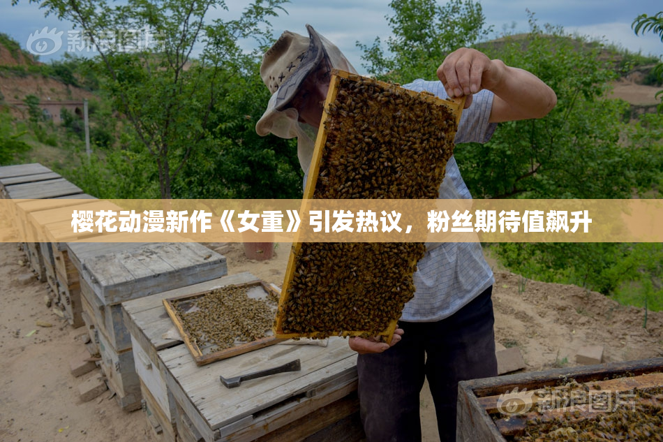 樱花动漫新作《女重》引发热议，粉丝期待值飙升