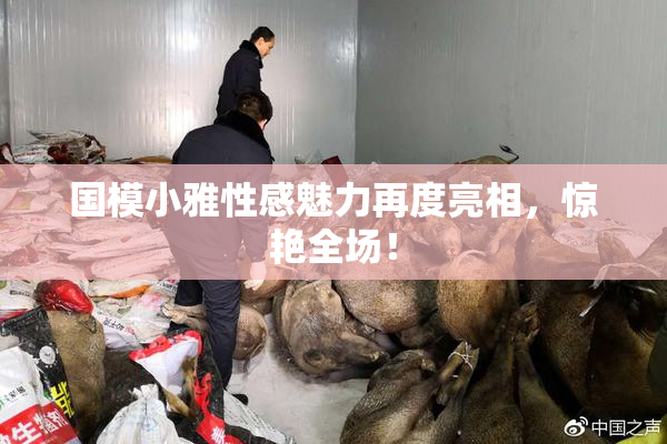 国模小雅性感魅力再度亮相，惊艳全场！