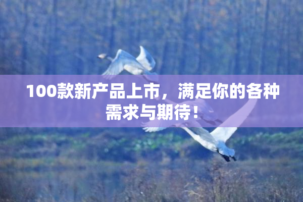 100款新产品上市，满足你的各种需求与期待！