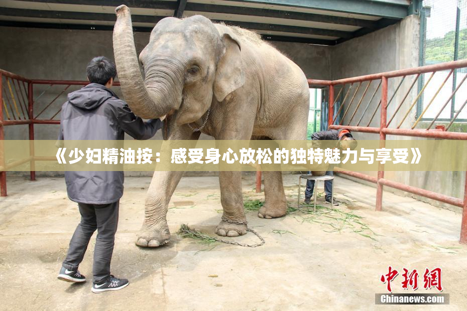 《少妇精油按：感受身心放松的独特魅力与享受》