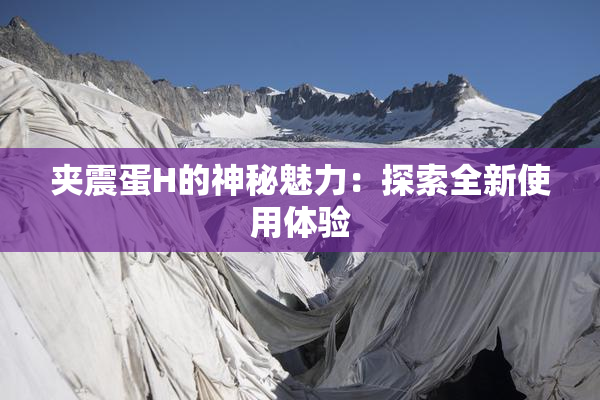 夹震蛋H的神秘魅力：探索全新使用体验