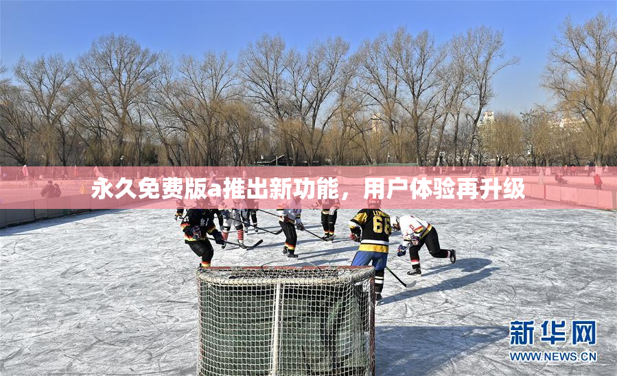 永久免费版a推出新功能，用户体验再升级