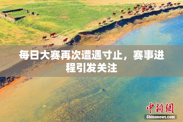 每日大赛再次遭遇寸止，赛事进程引发关注