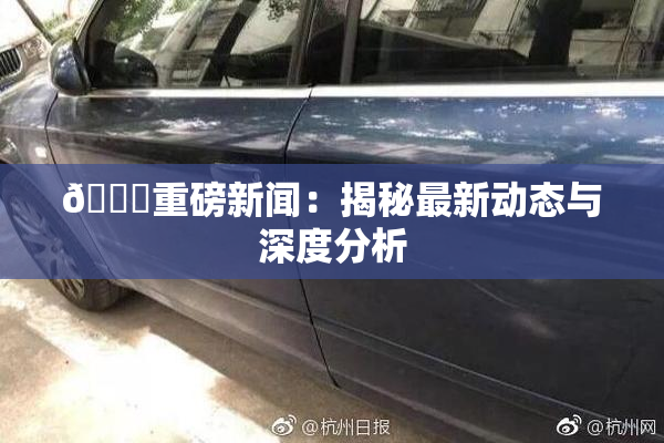 🈚重磅新闻：揭秘最新动态与深度分析