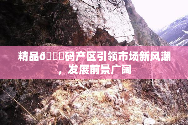 精品🈚码产区引领市场新风潮，发展前景广阔