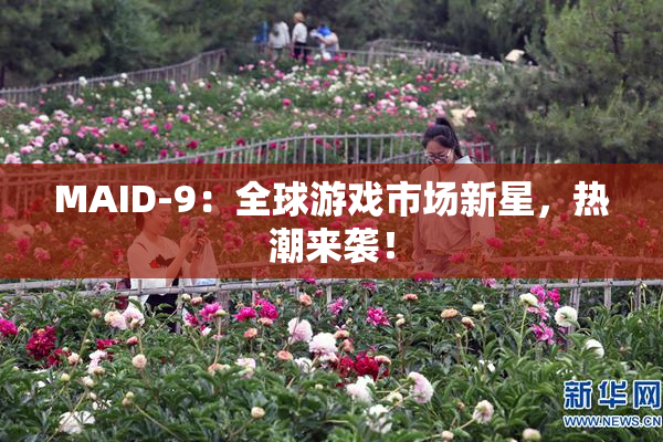 MAID-9：全球游戏市场新星，热潮来袭！