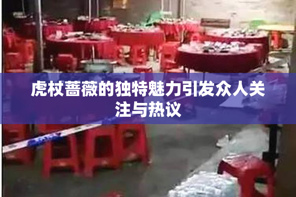 虎杖蔷薇的独特魅力引发众人关注与热议