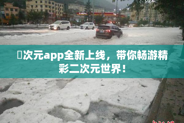 囧次元app全新上线，带你畅游精彩二次元世界！