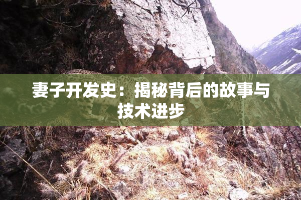 妻子开发史：揭秘背后的故事与技术进步