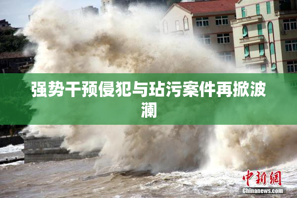 强势干预侵犯与玷污案件再掀波澜