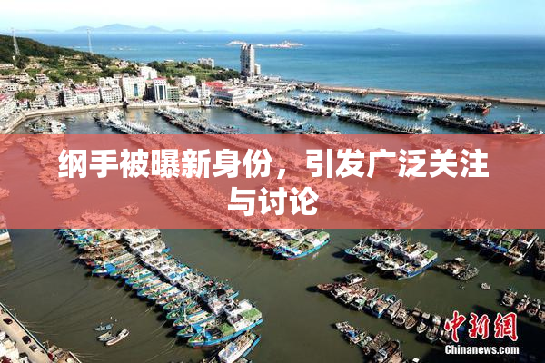 纲手被曝新身份，引发广泛关注与讨论