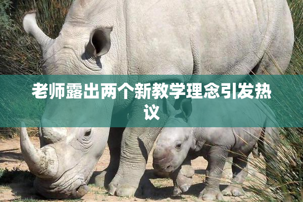 老师露出两个新教学理念引发热议