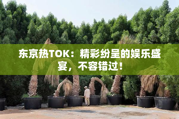 东京热TOK：精彩纷呈的娱乐盛宴，不容错过！