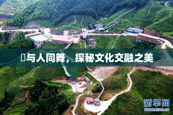 嘼与人同舞，探秘文化交融之美