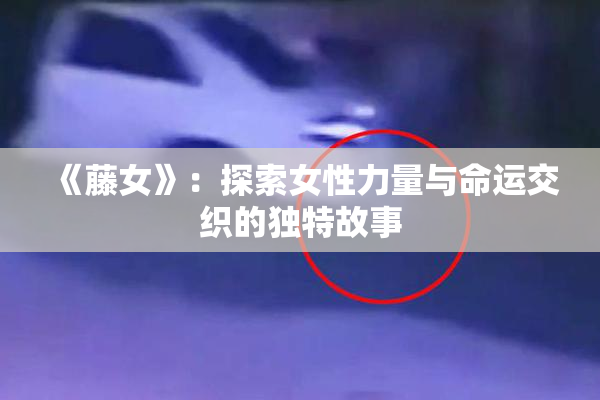《藤女》：探索女性力量与命运交织的独特故事