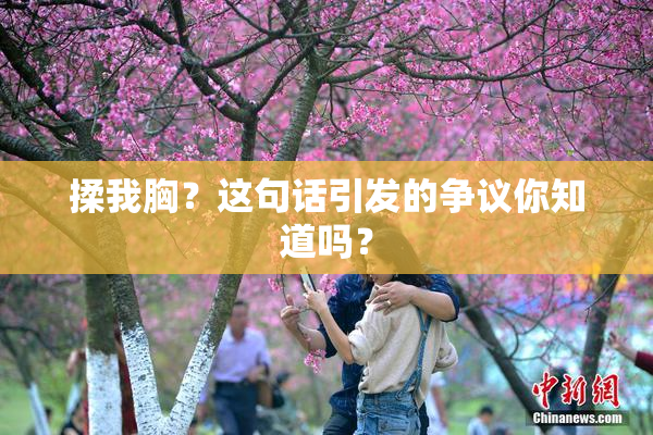 揉我胸？这句话引发的争议你知道吗？