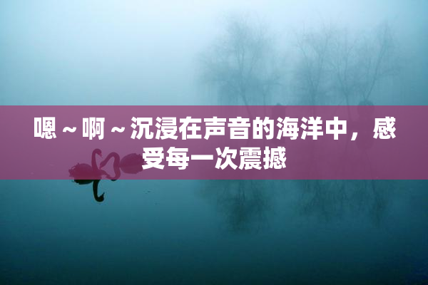 嗯～啊～沉浸在声音的海洋中，感受每一次震撼