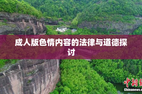 成人版色情内容的法律与道德探讨