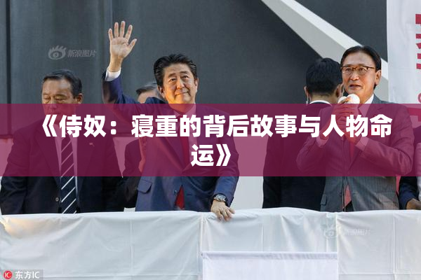 《侍奴：寝重的背后故事与人物命运》