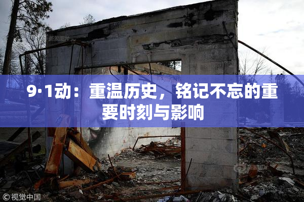 9·1动：重温历史，铭记不忘的重要时刻与影响