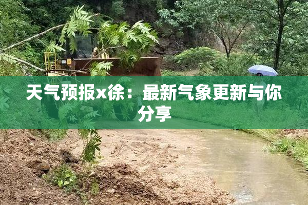 天气预报x徐：最新气象更新与你分享