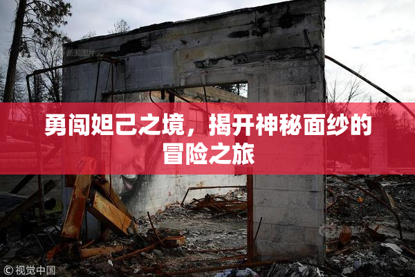 勇闯妲己之境，揭开神秘面纱的冒险之旅
