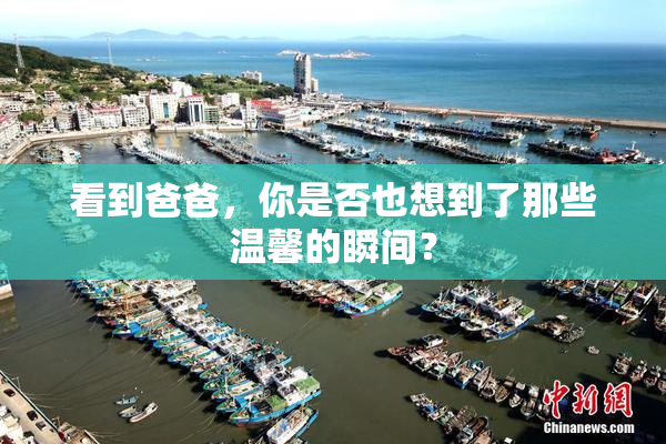 看到爸爸，你是否也想到了那些温馨的瞬间？