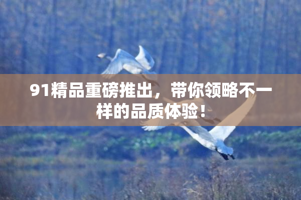 91精品重磅推出，带你领略不一样的品质体验！