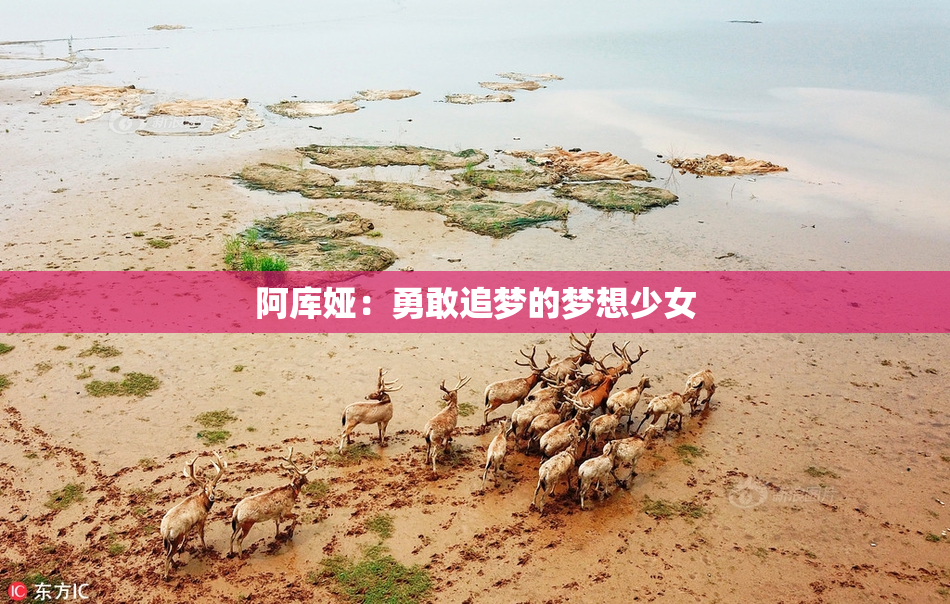 阿库娅：勇敢追梦的梦想少女