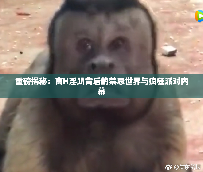 重磅揭秘：高H淫趴背后的禁忌世界与疯狂派对内幕