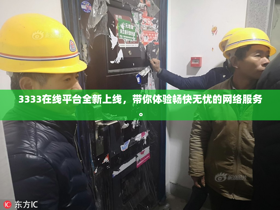3333在线平台全新上线，带你体验畅快无忧的网络服务。