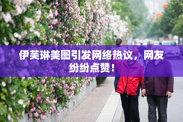 伊芙琳美图引发网络热议，网友纷纷点赞！