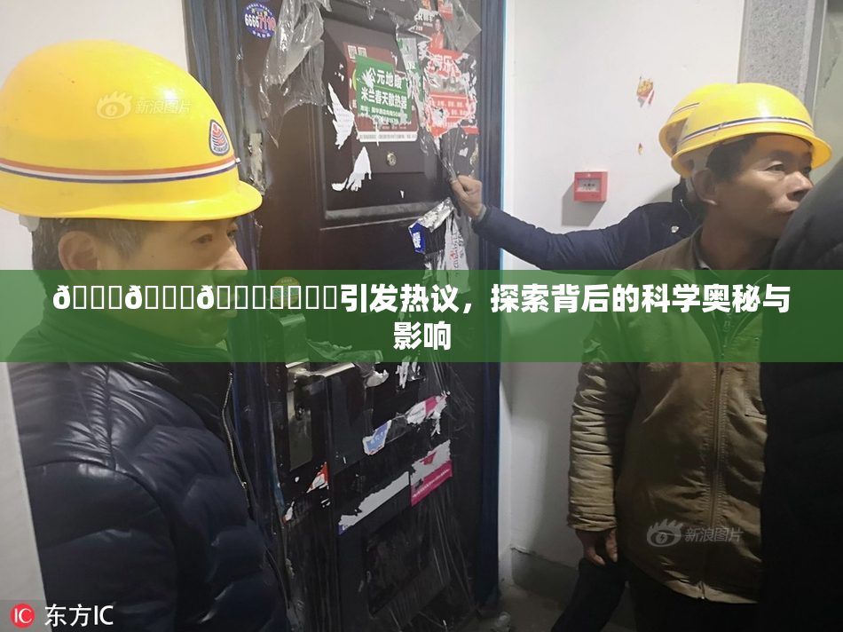🍆🍑🔞❌‌❌‌引发热议，探索背后的科学奥秘与影响