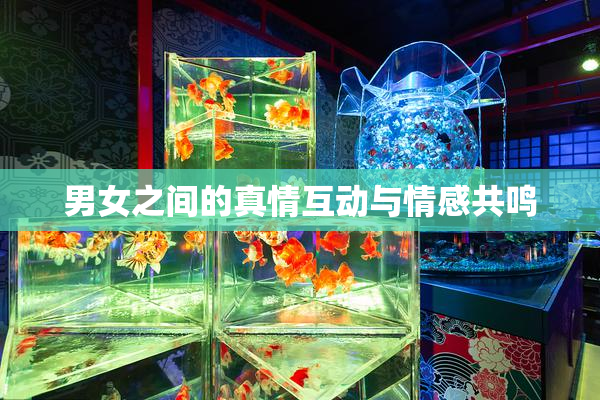 男女之间的真情互动与情感共鸣