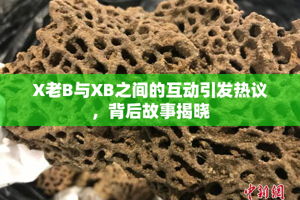 X老B与XB之间的互动引发热议，背后故事揭晓