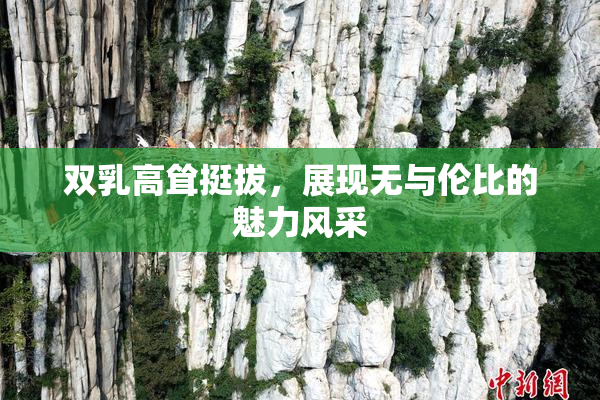 双乳高耸挺拔，展现无与伦比的魅力风采