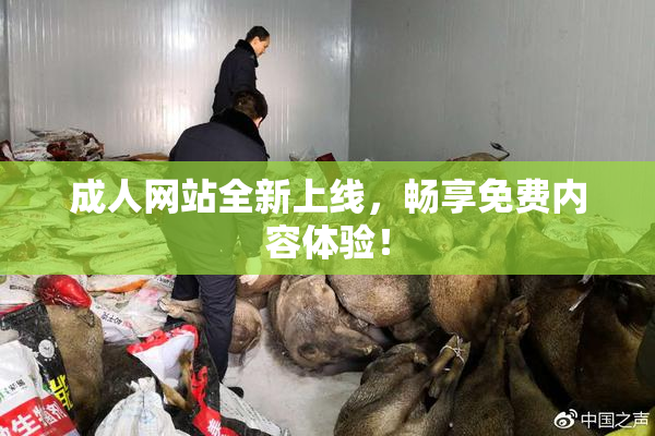 成人网站全新上线，畅享免费内容体验！