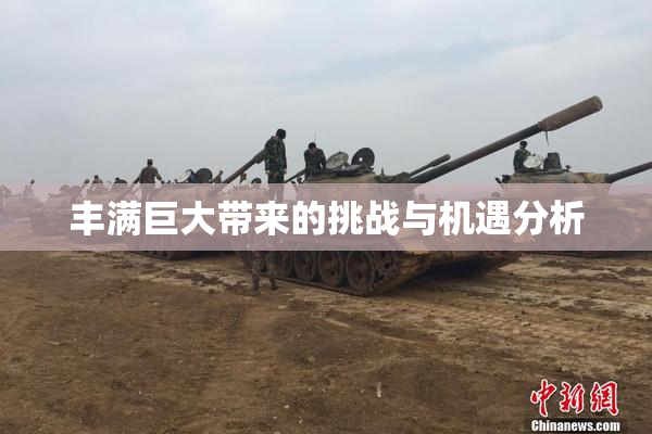 丰满巨大带来的挑战与机遇分析