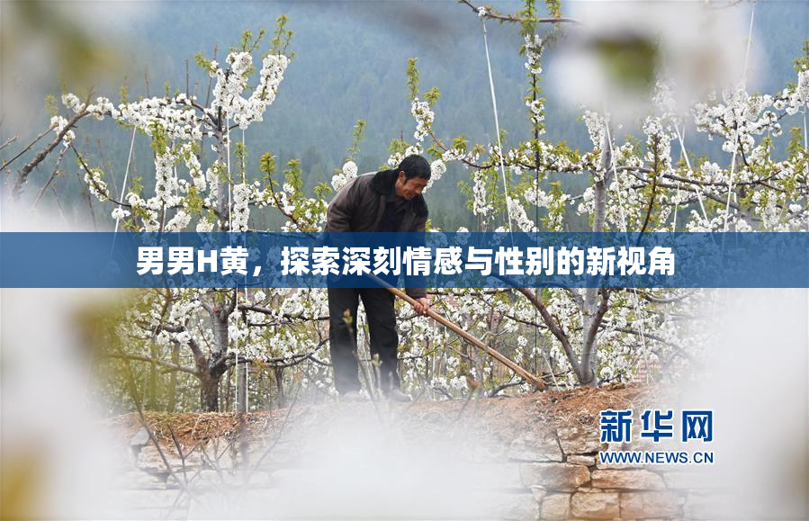 男男H黄，探索深刻情感与性别的新视角
