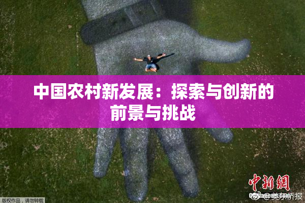 中国农村新发展：探索与创新的前景与挑战