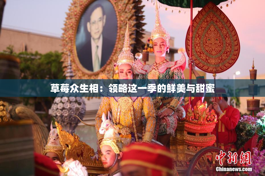 草莓众生相：领略这一季的鲜美与甜蜜