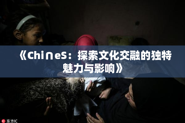 《Chi∩eS：探索文化交融的独特魅力与影响》